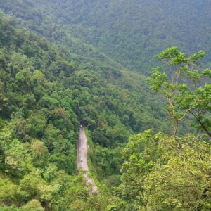 3 Nights 4 days Calicut Wayanad Kerala Tour Package