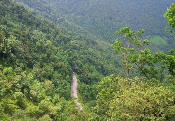 3 Nights 4 days Calicut Wayanad Kerala Tour Package