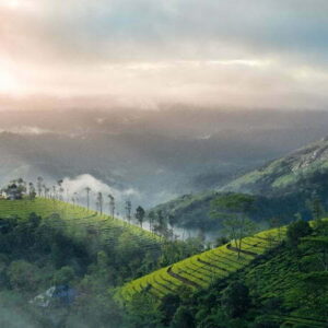 1 Night 2 Days Vagamon Tour Package
