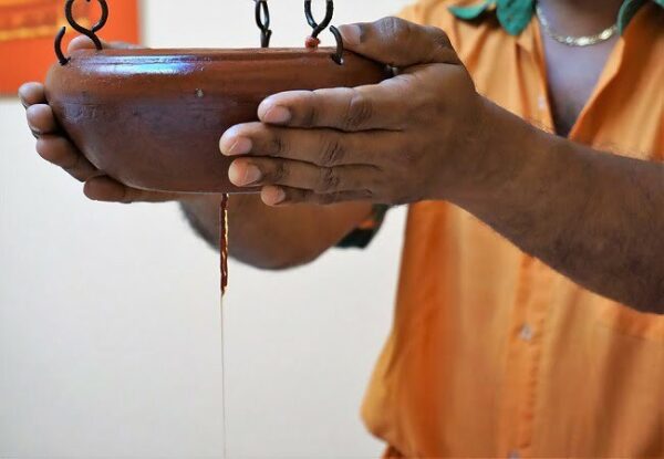 6 Days Ayurveda wellness Program