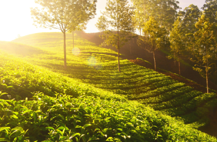 Screenshot 2025-07-16 100935