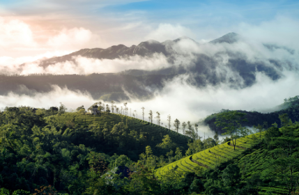 Screenshot 2025-07-16 100935