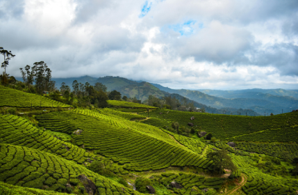 Screenshot 2025-07-16 100935