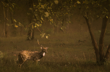 Screenshot 2025-07-16 100935