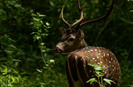 Screenshot 2025-07-16 100935