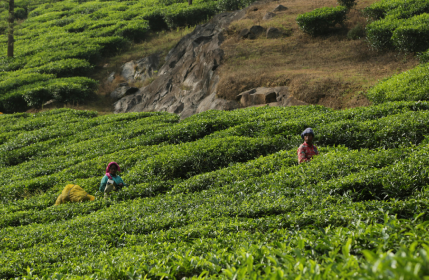 Screenshot 2025-07-16 100935